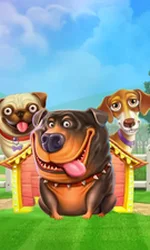 The Dog House
